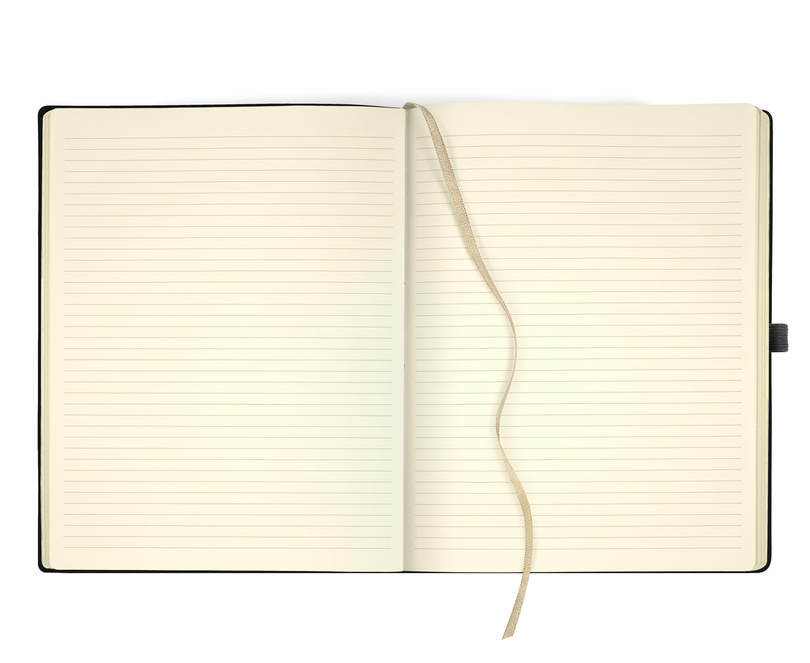 notes B5/linia Ivory GIRAFFE