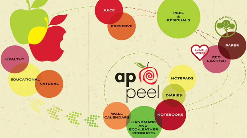 notes B5/linia Appeel BIG APPLE