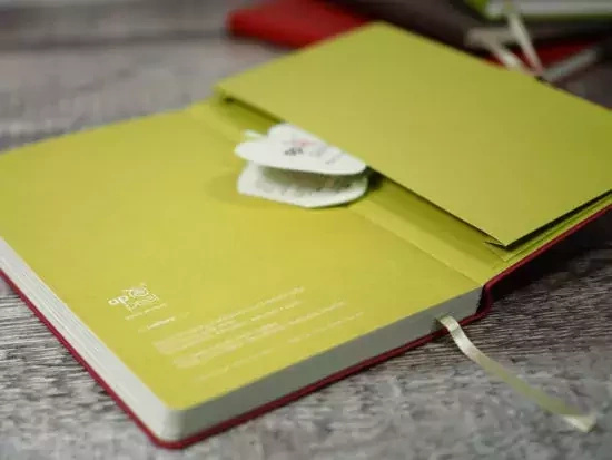 notes B5/linia Appeel BIG APPLE