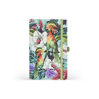 zielony || wielokolorowy