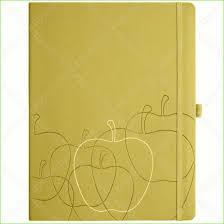 notes B5/kratka Appeel BIG APPLE