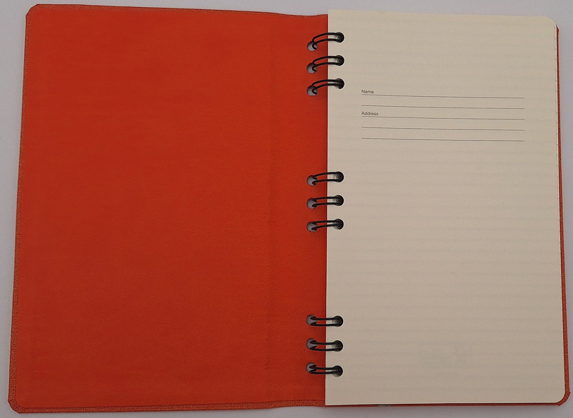 notes A5/linie Ivory DELHI na spirali