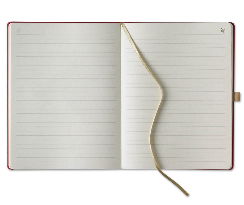 notes B5/linie ROYAL Appeel czerwony