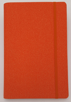 notes A5/linie Ivory DELHI na spirali