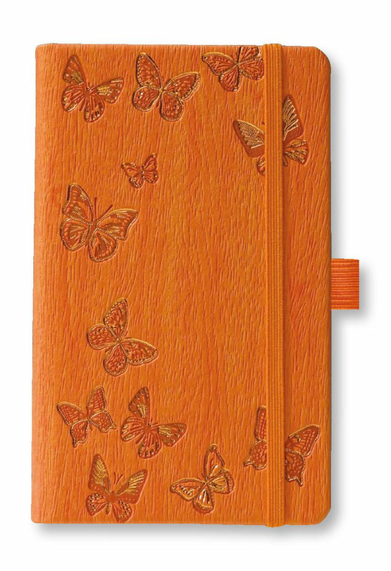 notes B5/gładki Ivory BUTTERFLY
