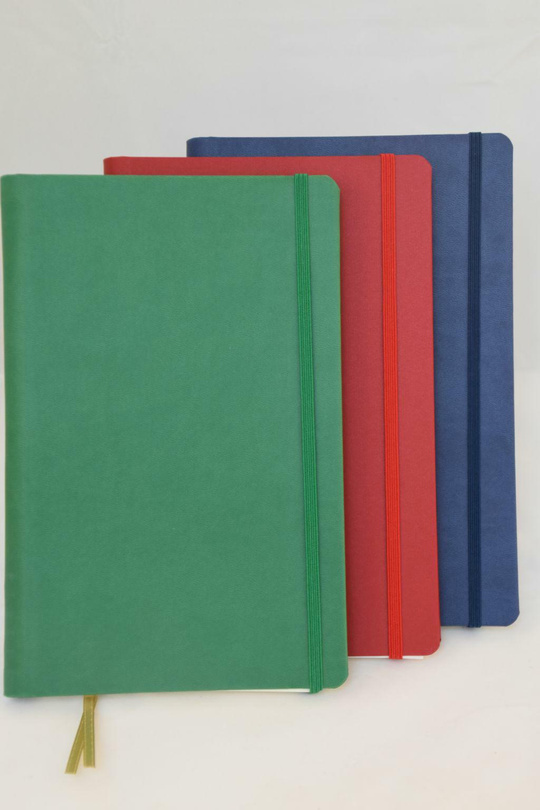 notes A5/linie Ivory DELHI na spirali