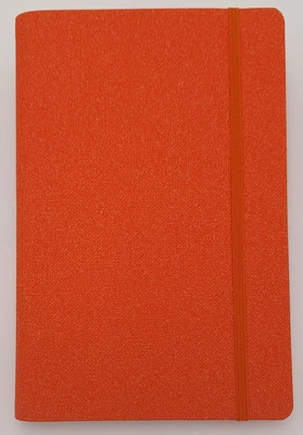 notes A5/linie Ivory DELHI na spirali